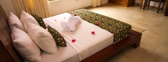img-9364-1-